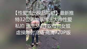 极品小情侣私拍泄密优雅气质露脸口交啪啪，美乳翘臀性感小骚货，外人眼中的女神私下就是一只欠操的骚母狗