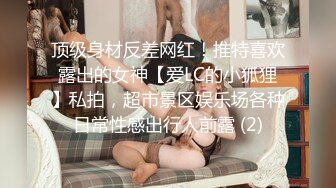 顶级身材反差网红！推特喜欢露出的女神【爱LC的小狐狸】私拍，超市景区娱乐场各种日常性感出行人前露 (2)