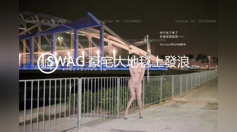 SWAG 豪宅大地毯上發浪