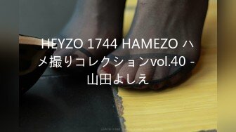 HEYZO 1744 HAMEZO ハメ撮りコレクションvol.40 - 山田よしえ