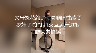 文轩探花约了个高颜值性感黑衣妹子啪啪 口交互舔床边抱腿大力抽插