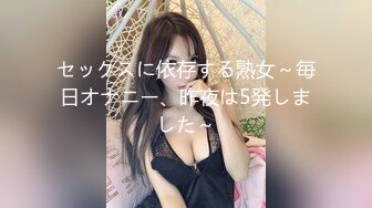 セックスに依存する熟女～毎日オナニー、昨夜は5発しました～