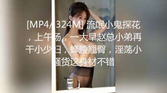 [MP4/ 324M] 流氓小鬼探花，上午场，一大早赵总小弟再干小少妇，蜂腰翘臀，淫荡小骚货这身材不错