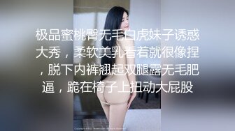 极品蜜桃臀无毛白虎妹子诱惑大秀，柔软美乳看着就很像捏，脱下内裤翘起双腿露无毛肥逼，跪在椅子上扭动大屁股