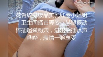 花臂纹身极品美乳红唇小姐姐，卫生间搔首弄姿，M腿振动棒插超嫩粉穴，进出抽插水声哗哗，表情一脸享受