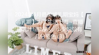 2024年4月最美哺乳期宝妈【哺乳期】为了生活下海~直播挤乳汁!湿哒哒，小少妇颇有几分姿色 (3)